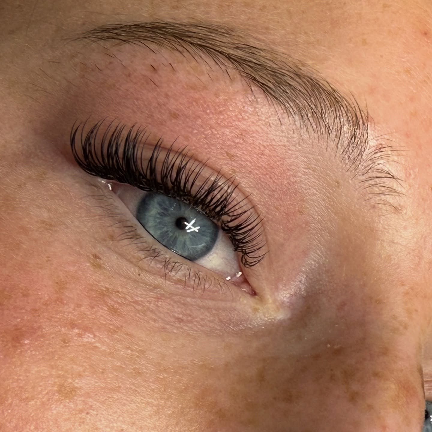 Detailed close-up of a finished lash set showing separation and curl