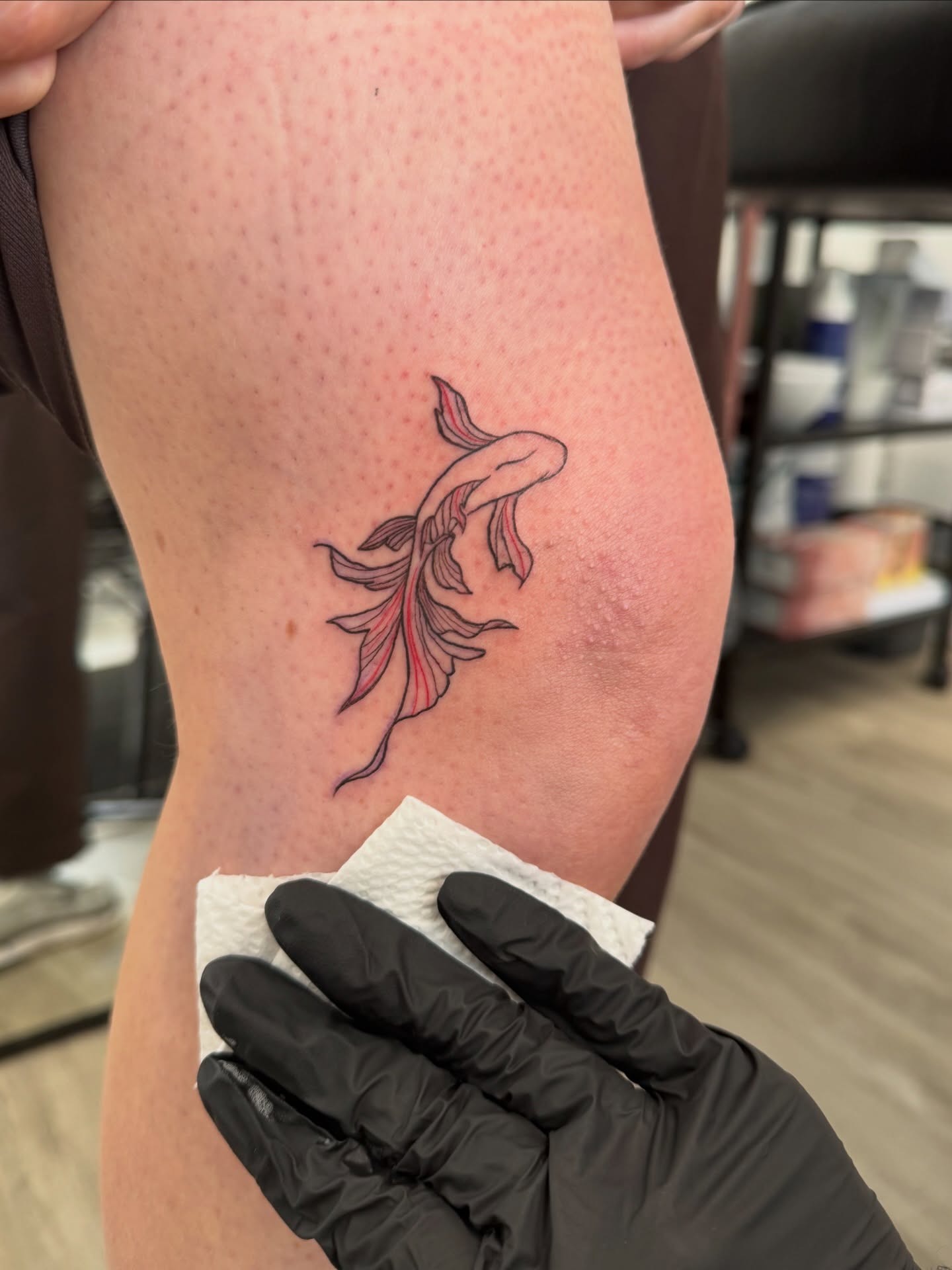 Fresh fine-line koi tattoo completed by Elite Cosmetics
